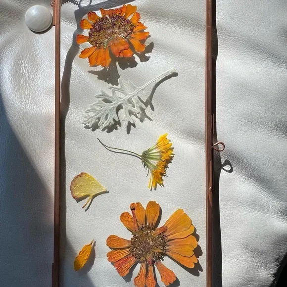 Floating into Fall~ Botanical Art - Picture 4 of 5